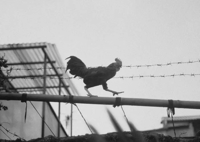 Outsiders: DIVISI62 w/ Bagvs