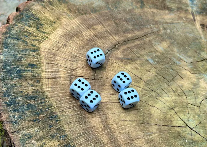 Cowgirlboy w/ Freewheelinlouis