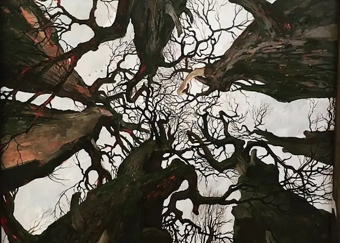 Outsiders: Earth Echoes w/ Shungu