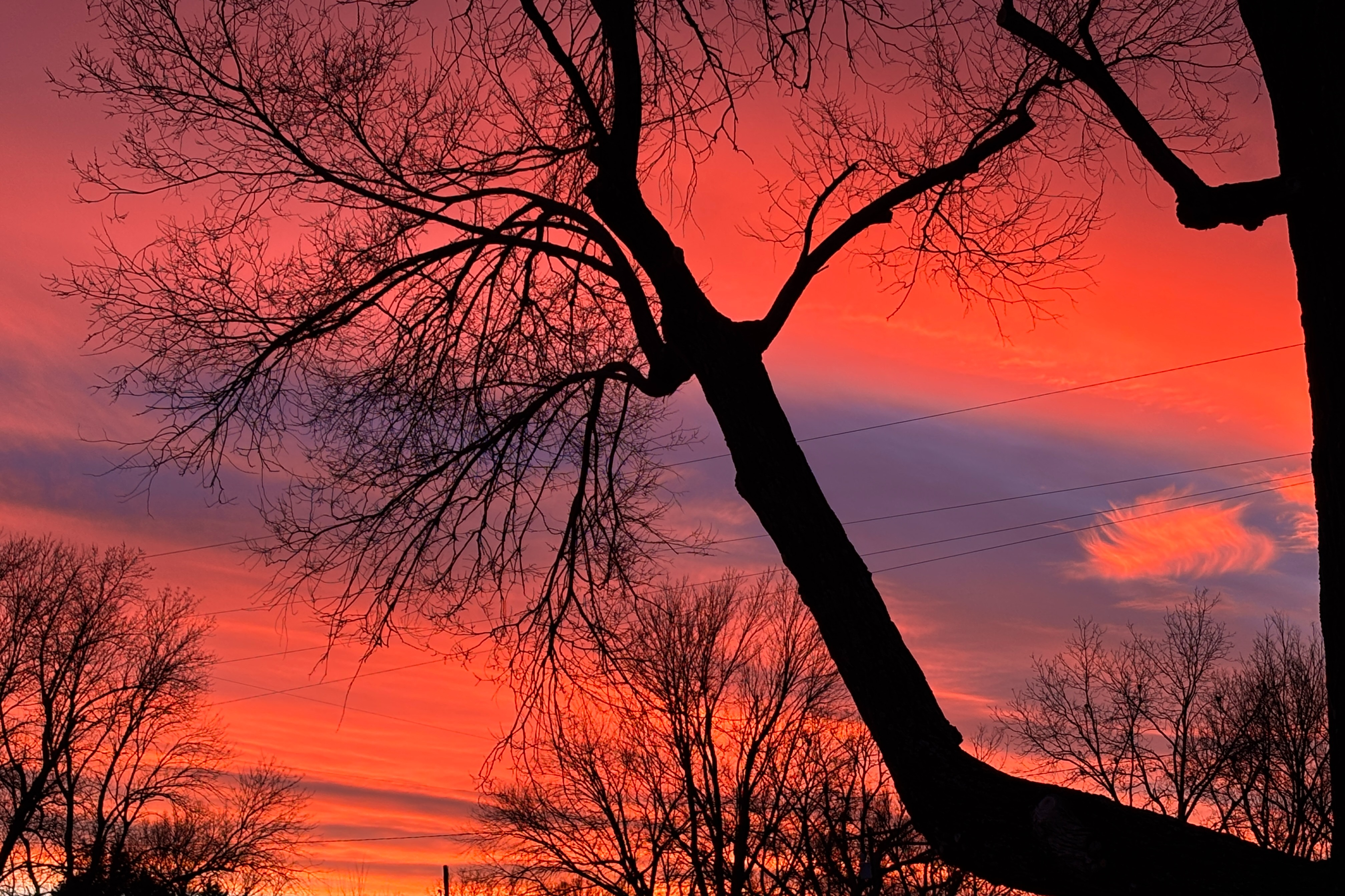 Outsiders: West Mineral Ltd. w/ Loidis