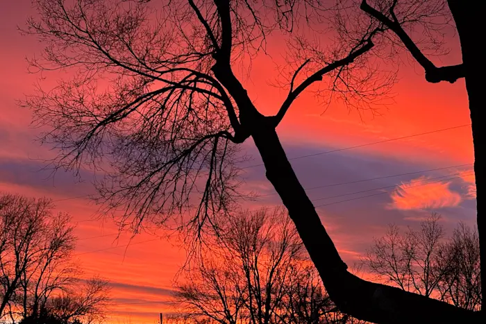 Outsiders: West Mineral Ltd. w/ Loidis