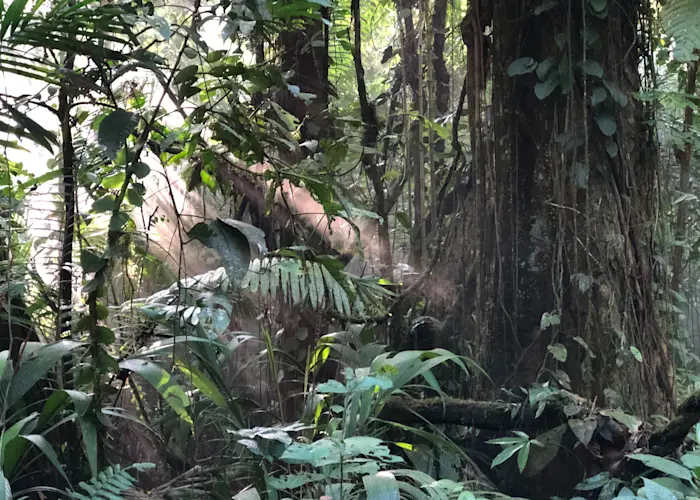 Outsiders: SN Variations w/ Chris Watson & Musarc