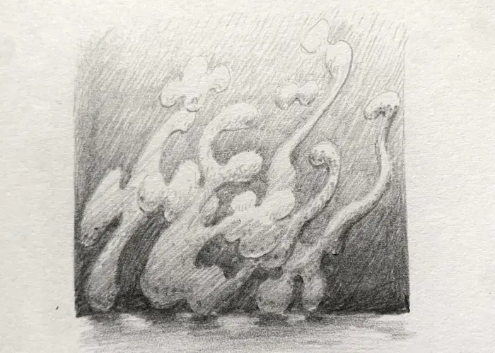 Outsiders: Accidental Meetings w/ Voidal & heavy petal