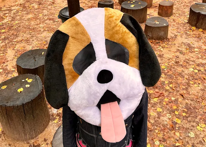 David And The Numwami's