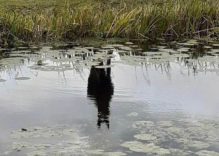 Outsiders: Bureau B w/ Daniel Jahn & Isa Schwarzenberg