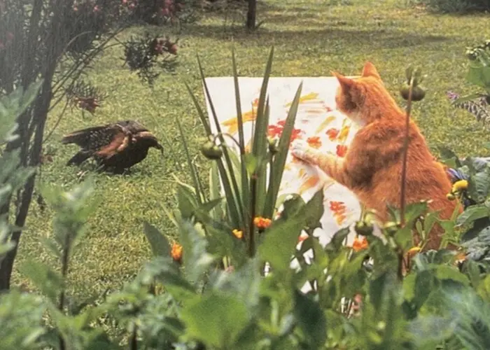 Outsiders: Musique Pour La Danse