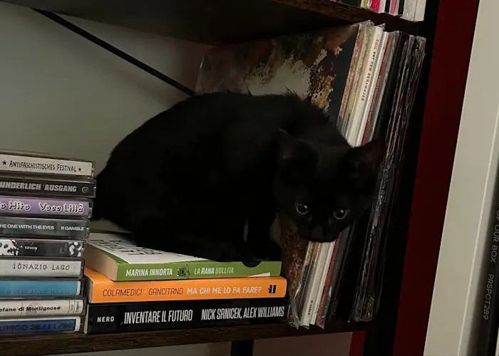 Outsiders: Music Take Me Up w/ Gabriele (Sunny Crypt)