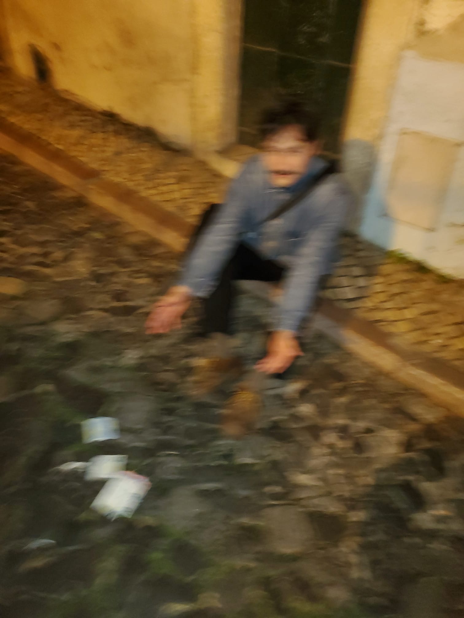 Daniel Majer