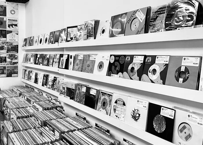 Outsiders: Serendeepity