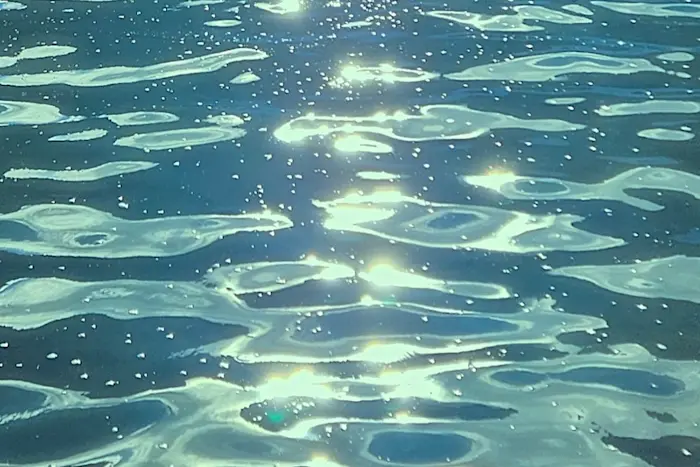 Outsiders: Understory w/ Ciel - Liquidub