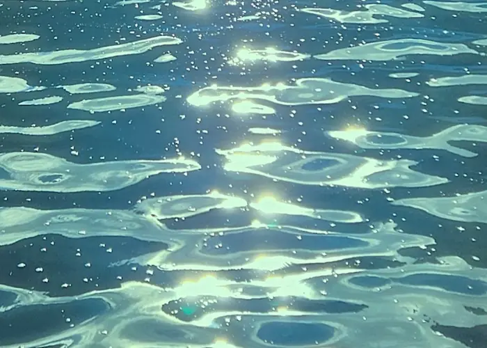 Outsiders: Understory w/ Ciel - Liquidub