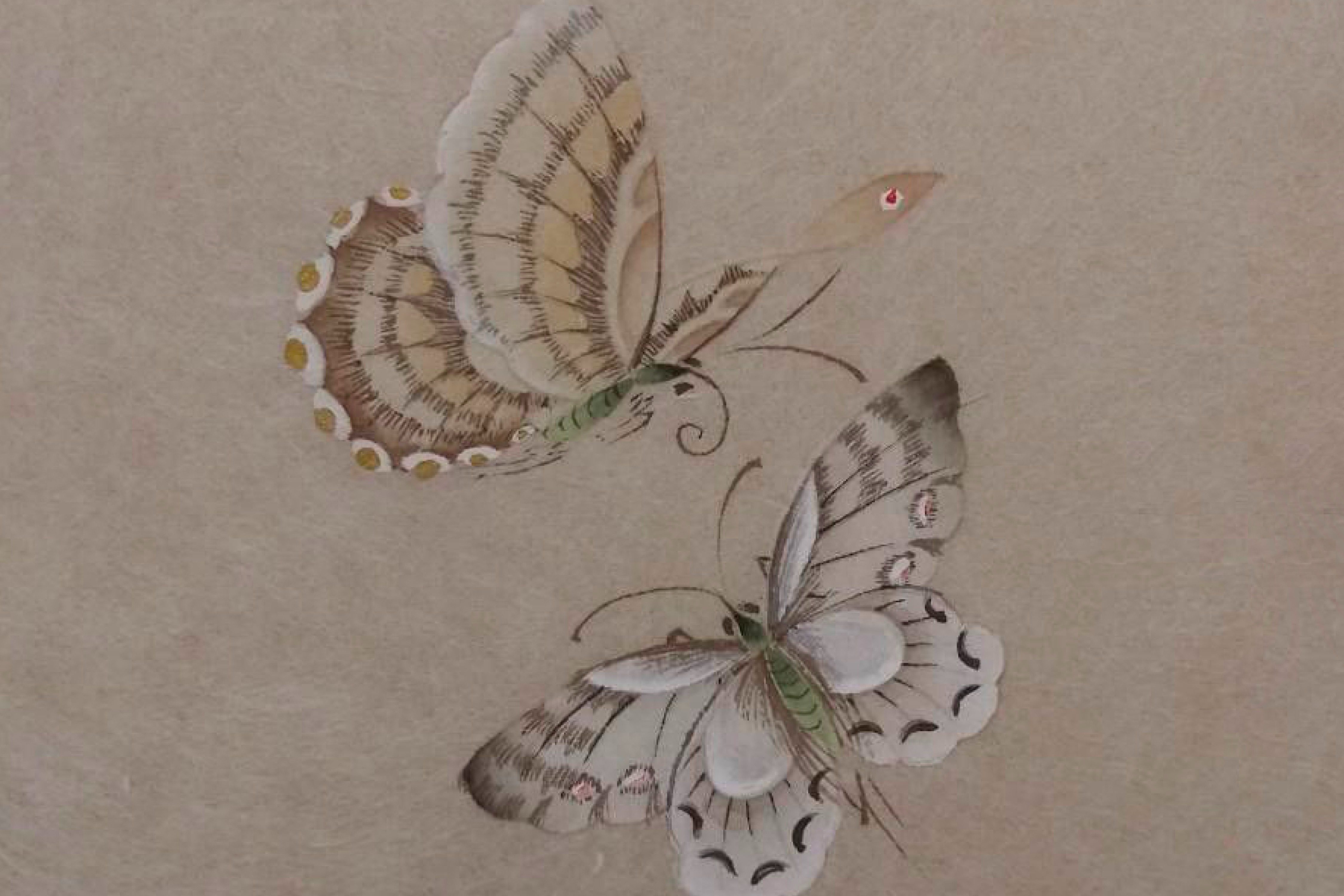 Outsiders: Bureau B w/ eat-girls