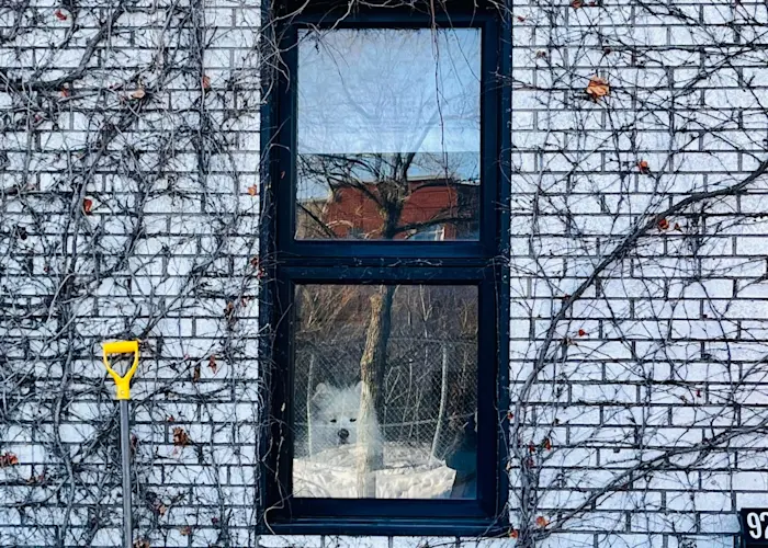 OUTSIDERS: Lexis (Music is My Sanctuary)