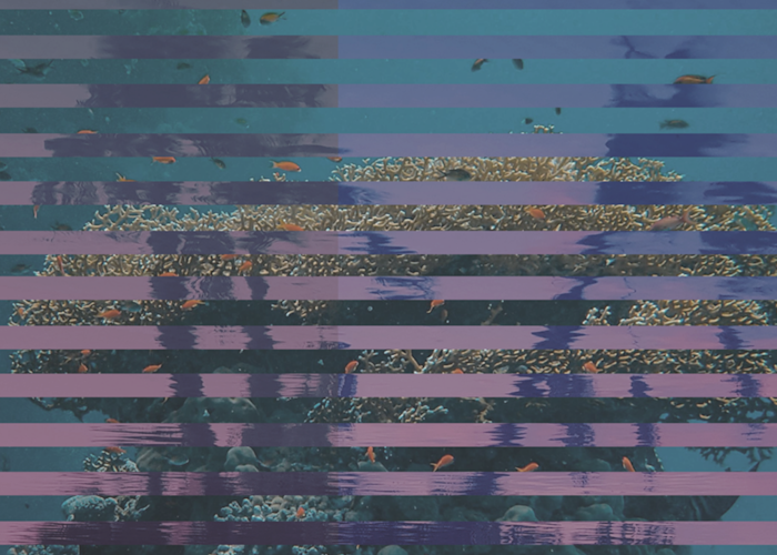 Outsiders:  Discrepant - Future 2021 pt.1