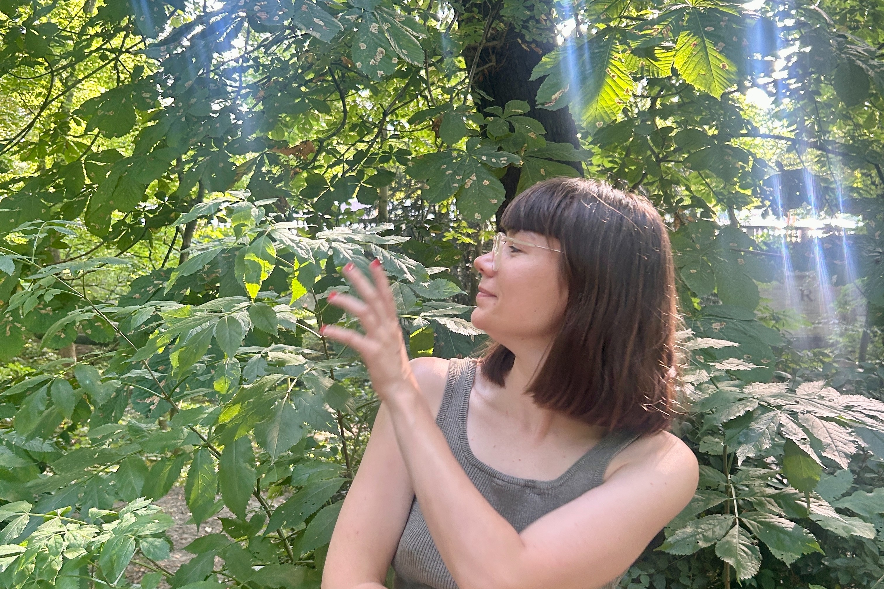 Pauline Miko (Live)