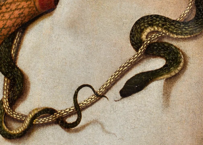 Outsiders: Siren Calls - Summon your inner healer through sound w/ NiXiE