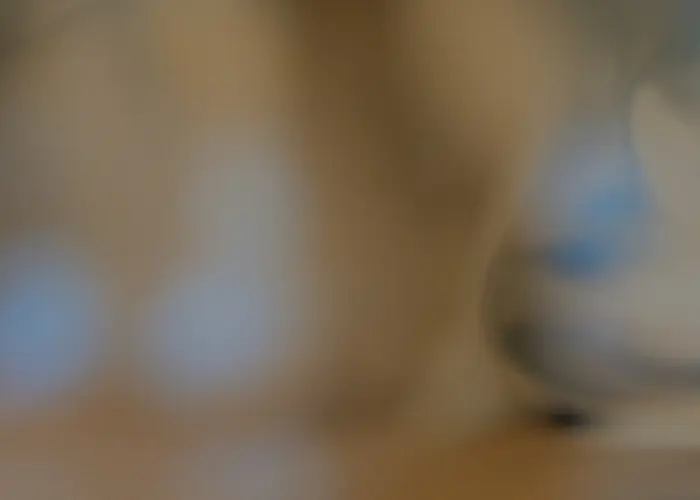 Outsiders: kinetic w/ Dj wiggles & 5RVZ