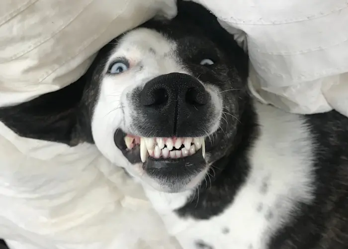 Outsiders: Invisible City w/ Bill Spencer