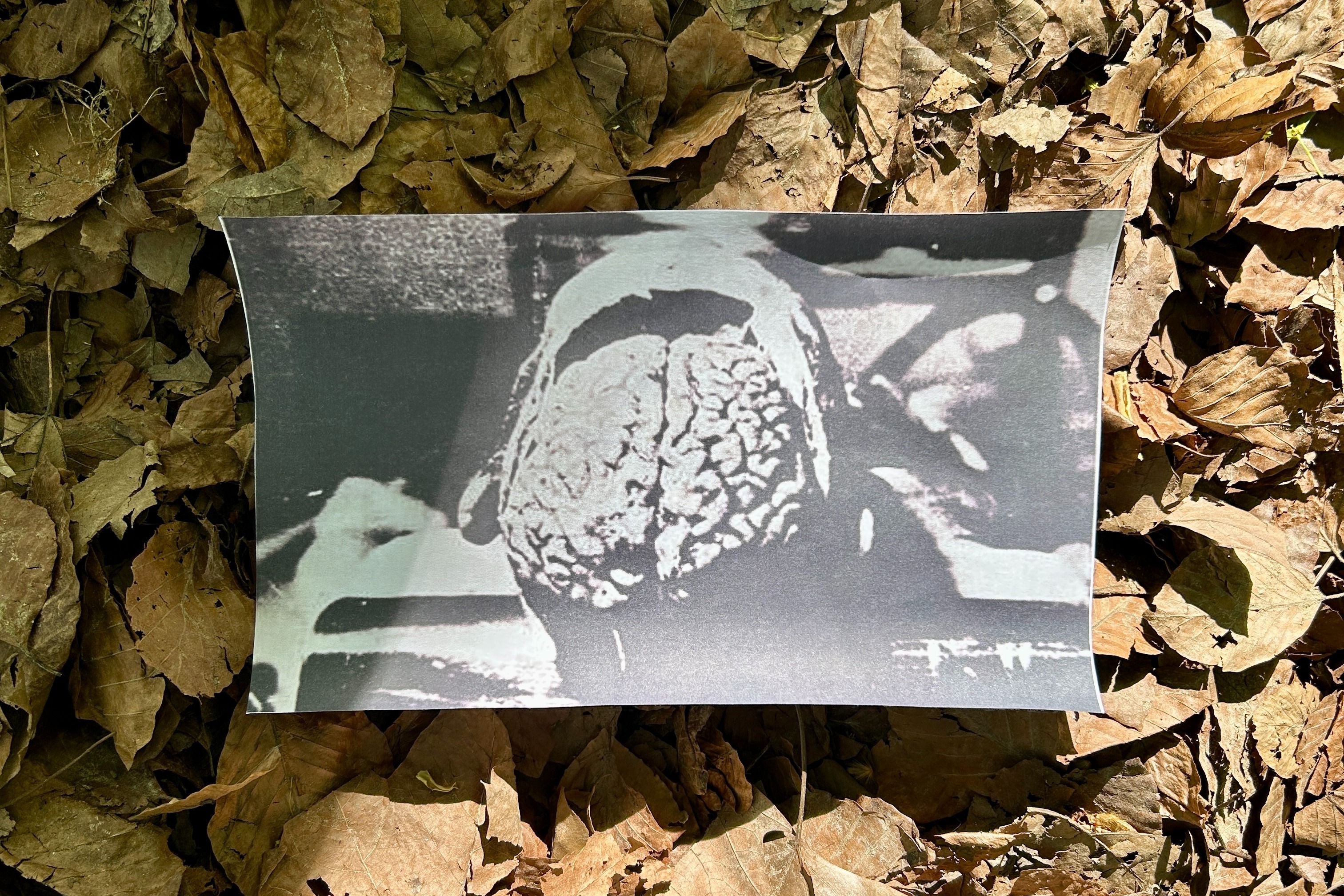 Cent Onze presents "The Frighteningly Bleak Sound Of Milan" - Maurizio Bianchi Special