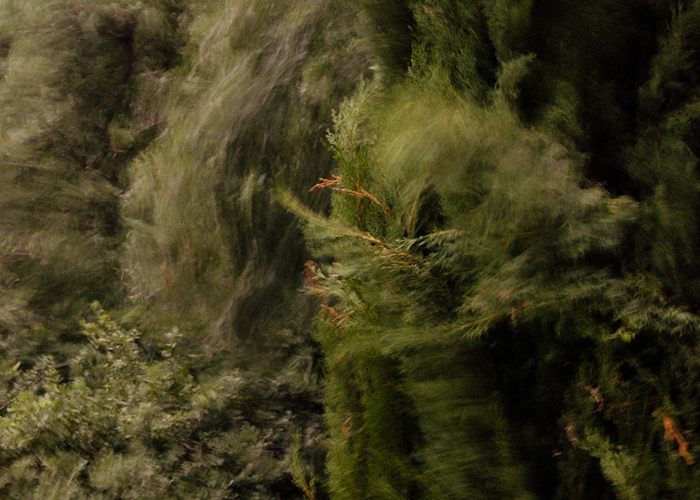 Outsiders: kinetic w/ Dj wiggles & Seb H.