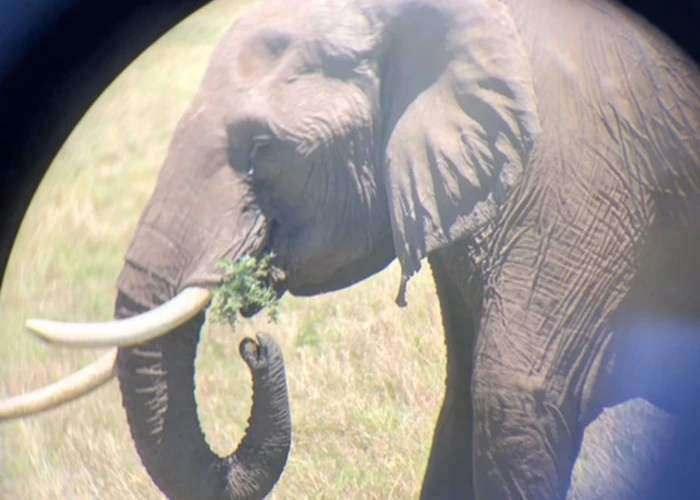 Outsiders: Tofistock w/ MYKI