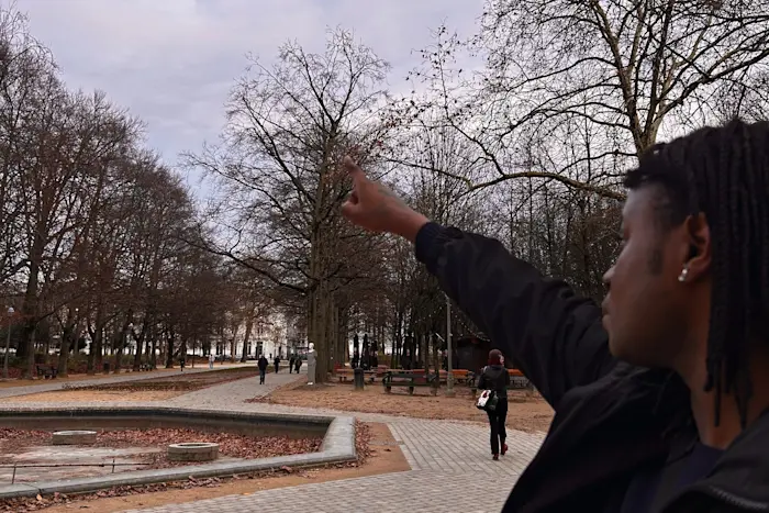 David And The Numwami's