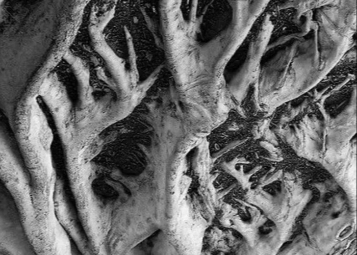 Outsiders: Dekadenz Records w/ KOMODO