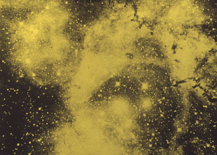 Outsiders: Earth Echoes w/ Shungu