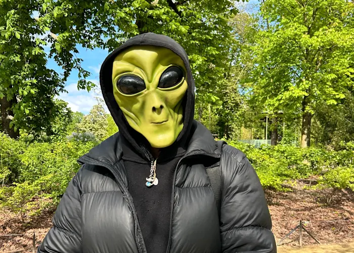 David And The Numwami's