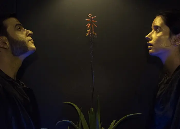 Outsiders: Mannequin Records w/ Dame Area