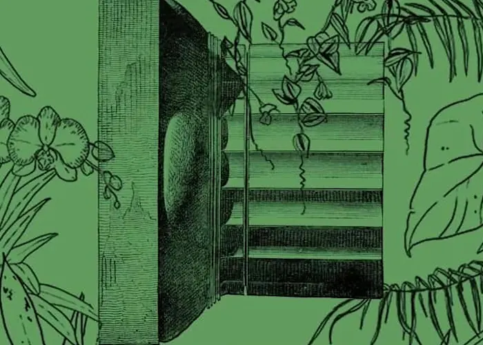 Les Cyclades #Jungle