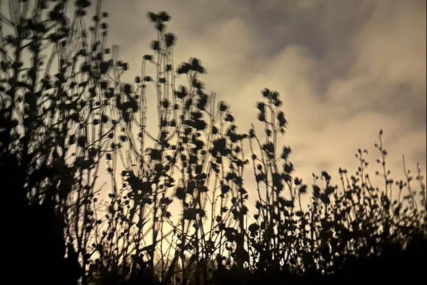 Outsiders: Teenage Menopause w/ WetFX