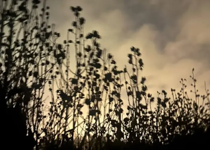 Outsiders: Teenage Menopause w/ WetFX