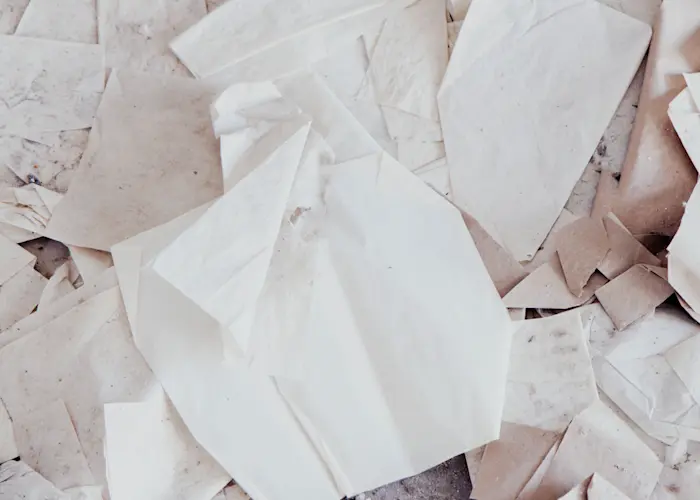 Outsiders: Ben Bertrand