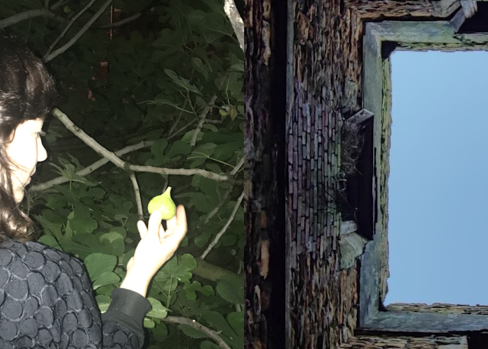 Outsiders: holding hands w/ Lloydfears & Bonebroth