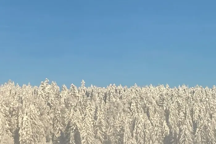 Outsiders: Musique Pour La Danse