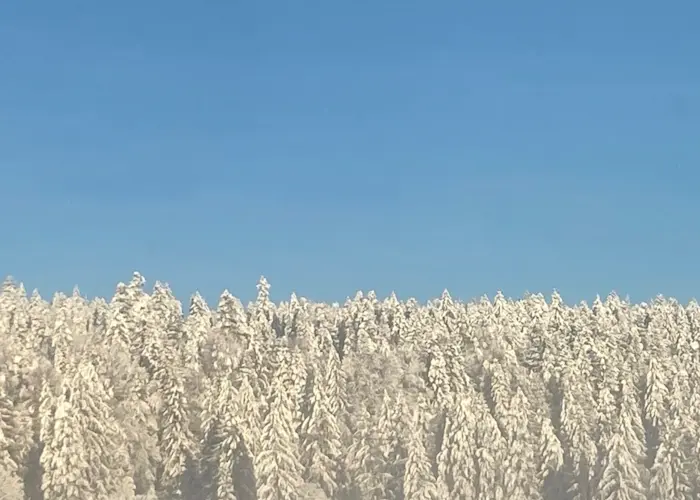 Outsiders: Musique Pour La Danse