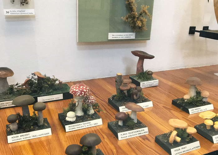 Outsiders: Skupina x mappa