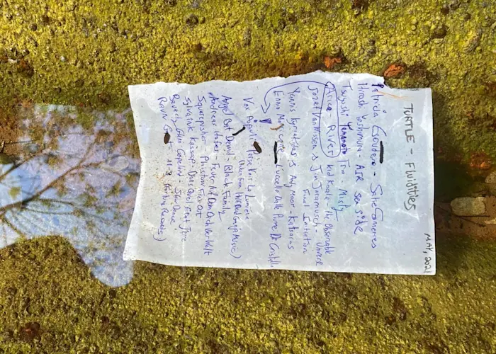 Outsiders: Tofistock w/ Turtle