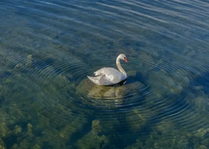 Outsiders: holding hands w/ Lloydfears & Bonebroth