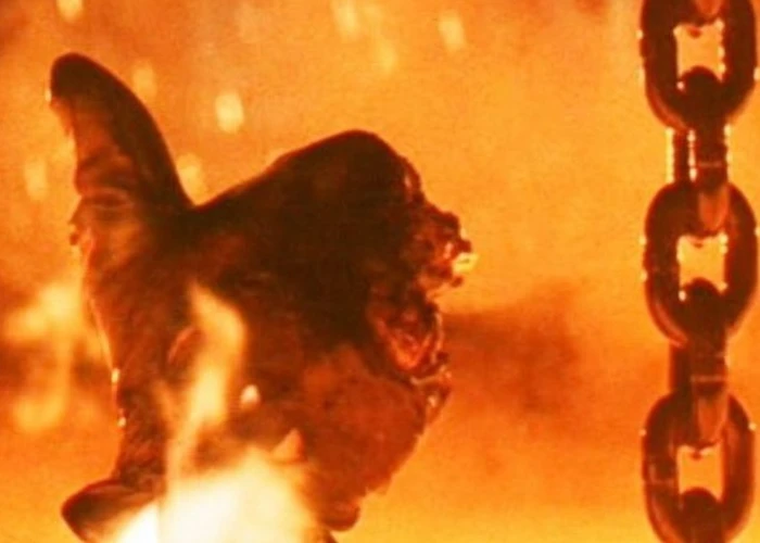 Outsiders: Gang of Ducks w/ STILL