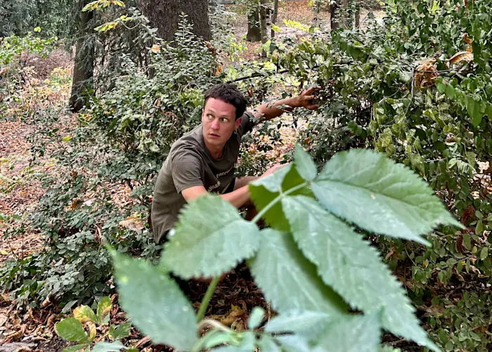 Bubble 'n squeak w/ Loverman