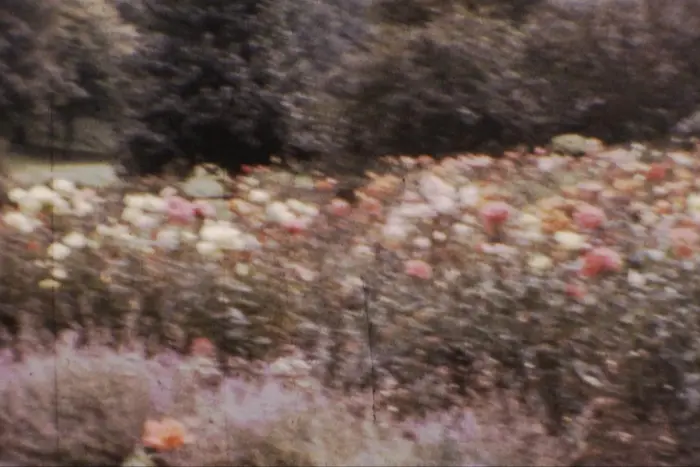 Outsiders: Accidental Meetings w/ EXLRUTH & Voidal