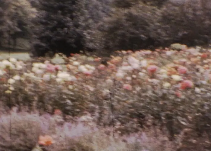 Outsiders: Accidental Meetings w/ EXLRUTH & Voidal