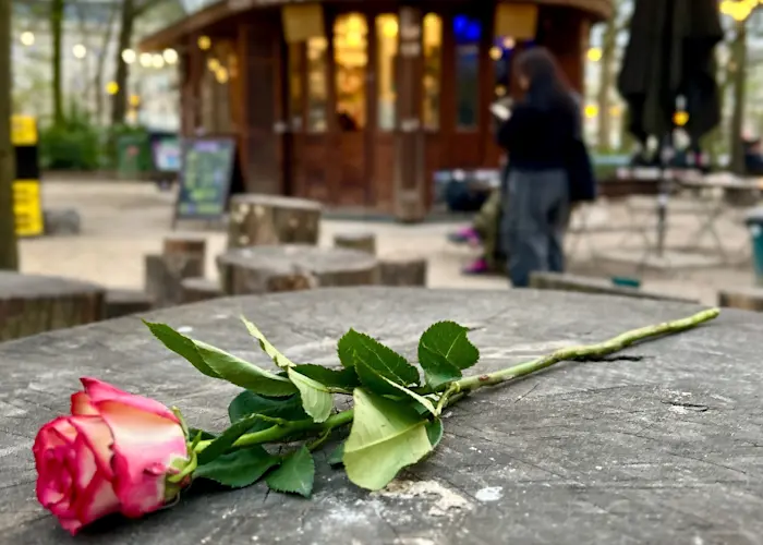 EEMAIL w/ Lawrence Le Doux