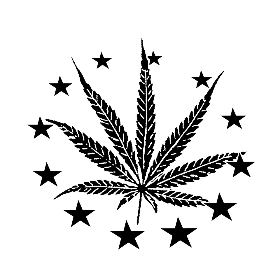 Gay Haze 