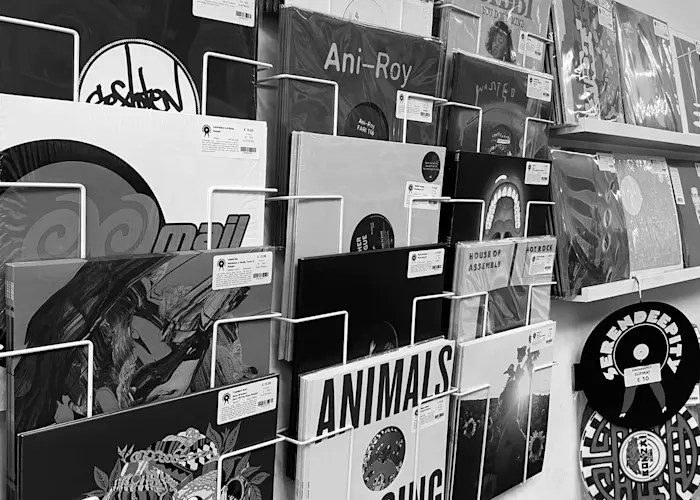 Outsiders: Serendeepity