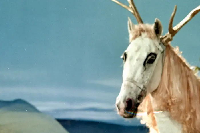 Outsiders: Bureau B - Christmas Special w/ Daniel Jahn & Isa Schwarzenberg