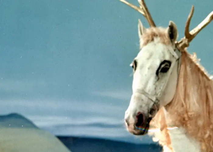 Outsiders: Bureau B - Christmas Special w/ Daniel Jahn & Isa Schwarzenberg