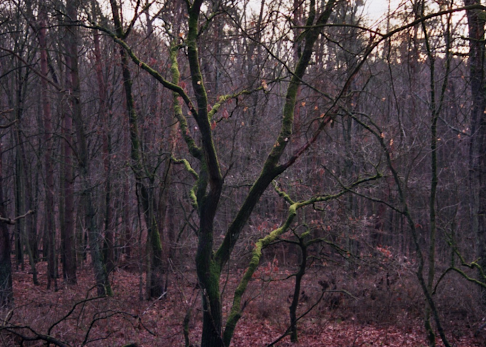 Outsiders: holding hands w/ Lloydfears & Bonebroth